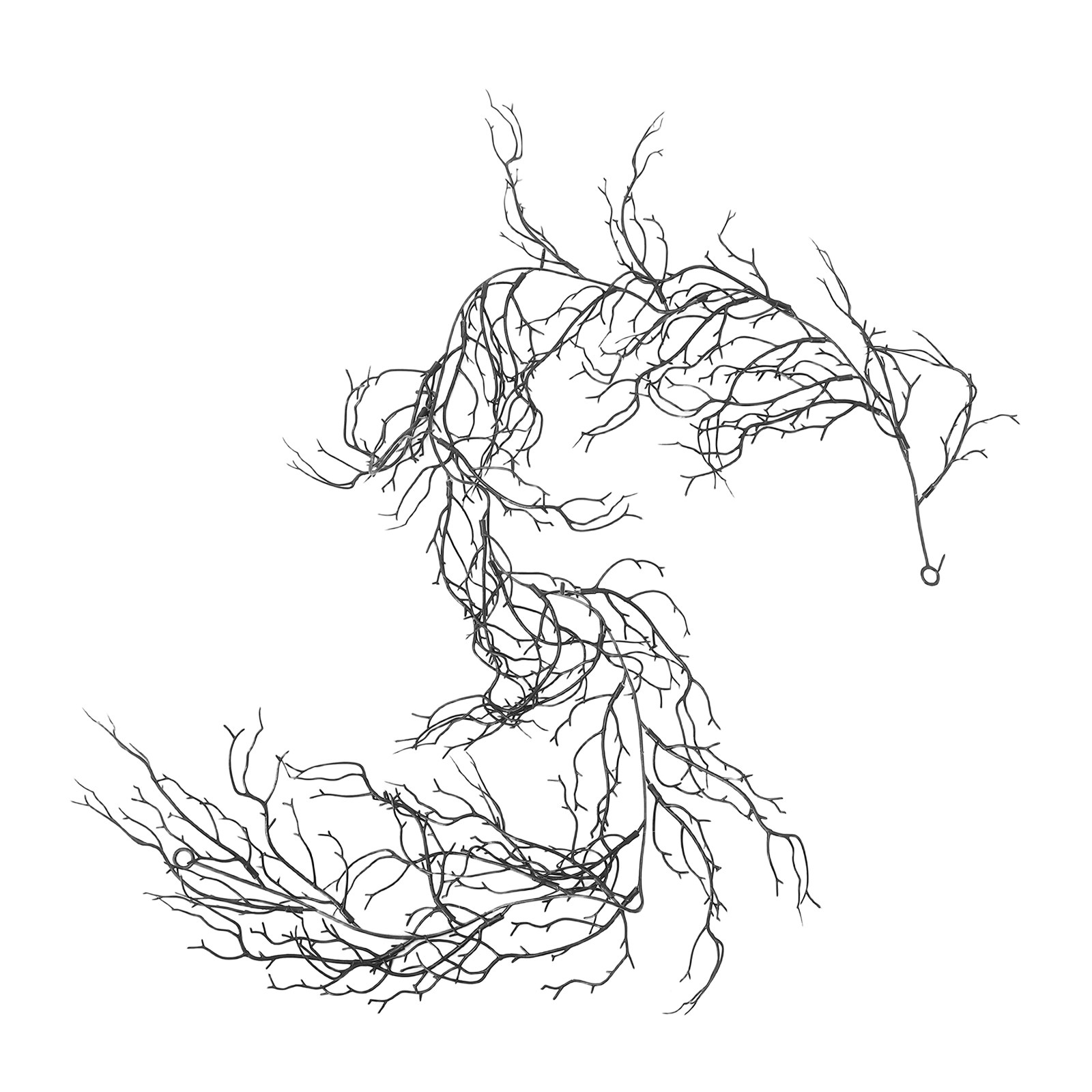 Flexible Black Curly Willow Br - Branch Curly Willow review and price