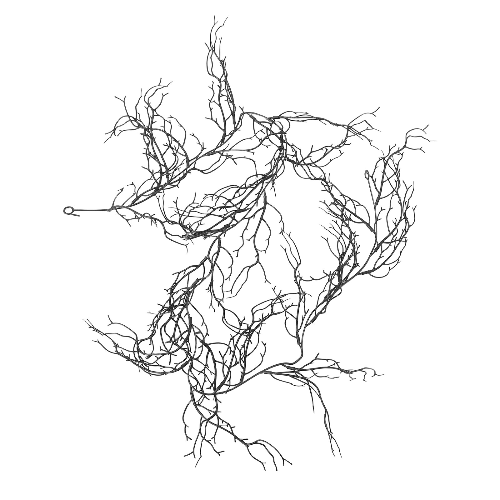 Flexible Black Curly Willow Br - Branch Curly Willow review and price