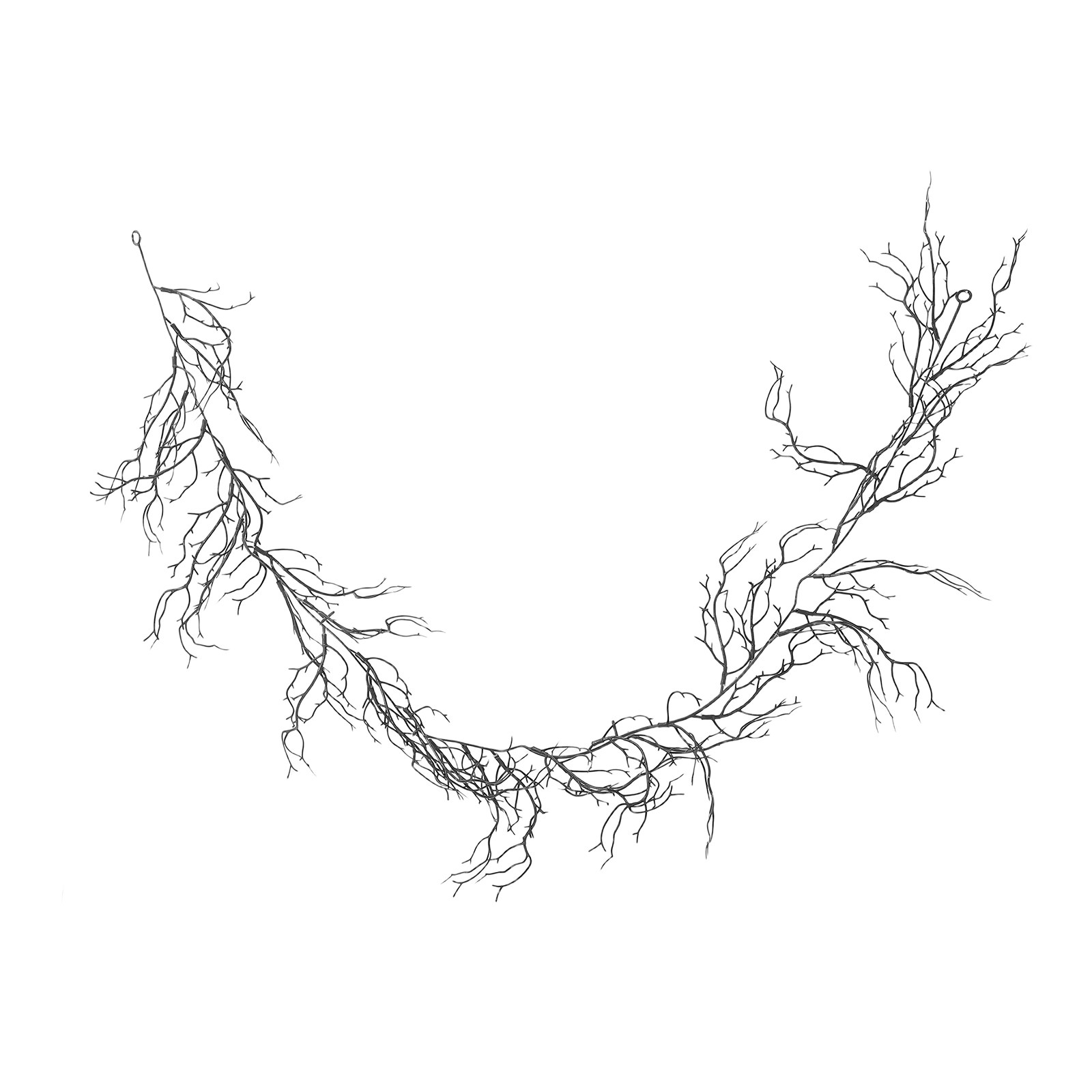 Flexible Black Curly Willow Br - Branch Curly Willow review and price