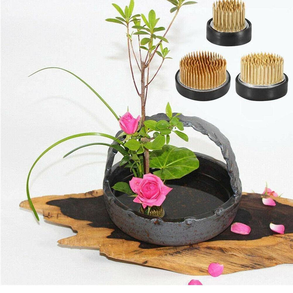 Round Ikebana Flower Frog With - Flower Frog Pin review and price