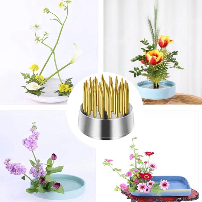 Hot 12PCS Flower Frog, Kenzan  - Flower Frog Pin review and price