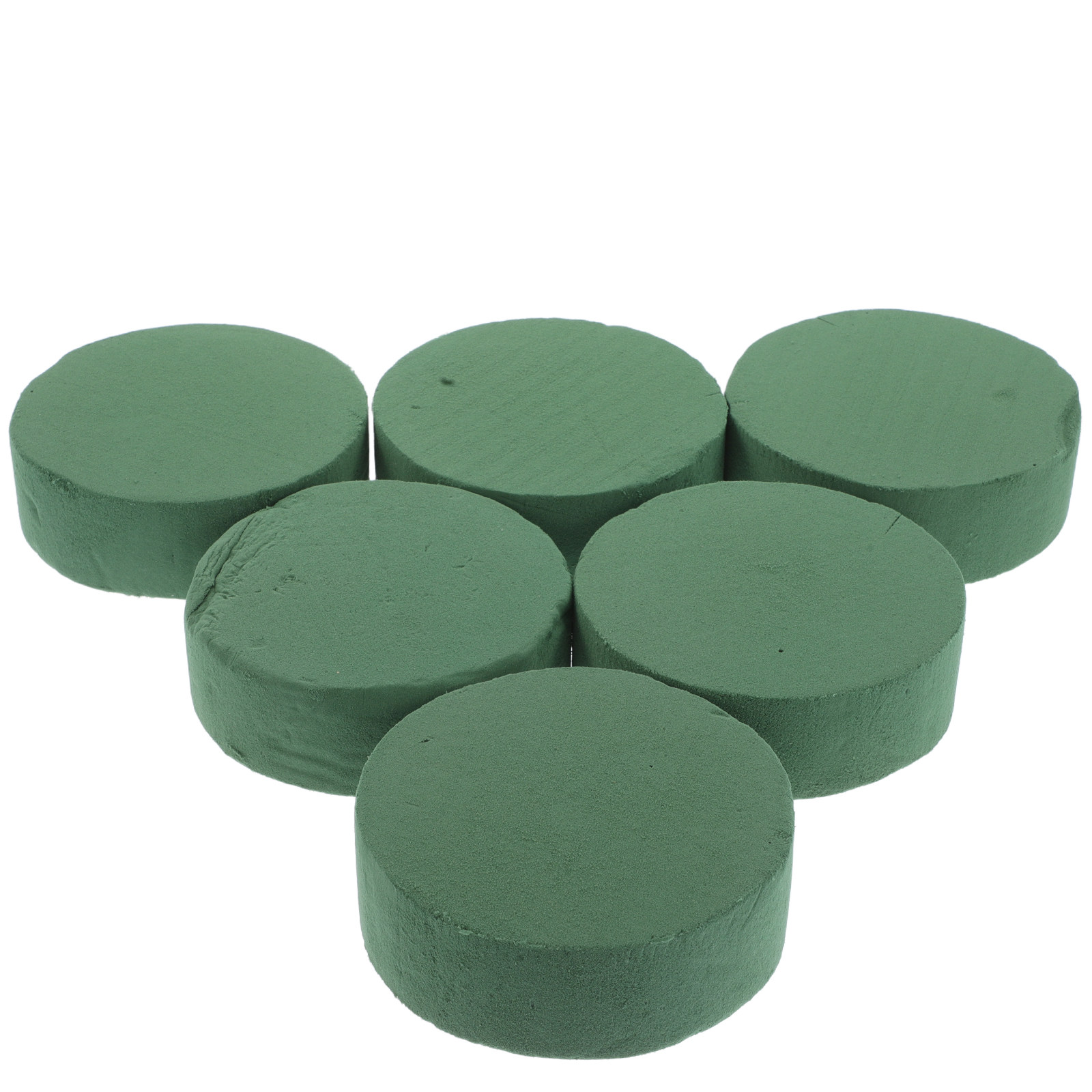 6Pcs Round Floral Foam Blocks  - The Florist Supply review and price