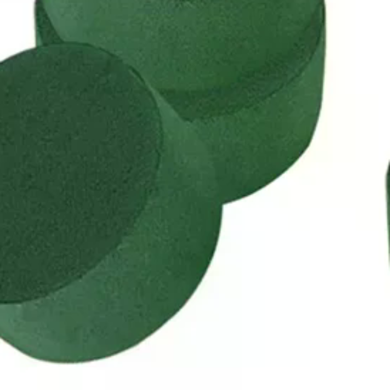 Floral Mud Foam Cylinders Oasi - Floral Foam Oasis review and price